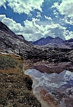 Barrett Lakes Reflection (v)